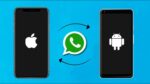 Enjoy Importing Whatsapp Chats From Android To Iphone