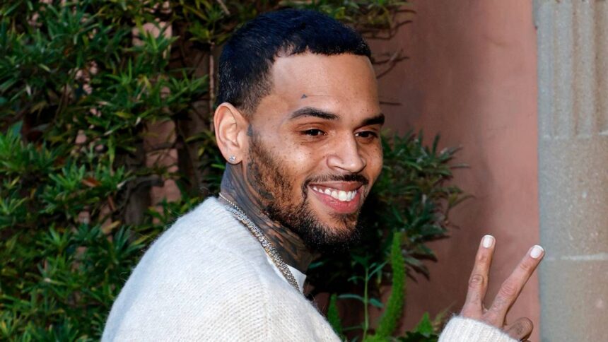 What Do You Think Is The Net Worth Of Chris Brown? Here Is Everything