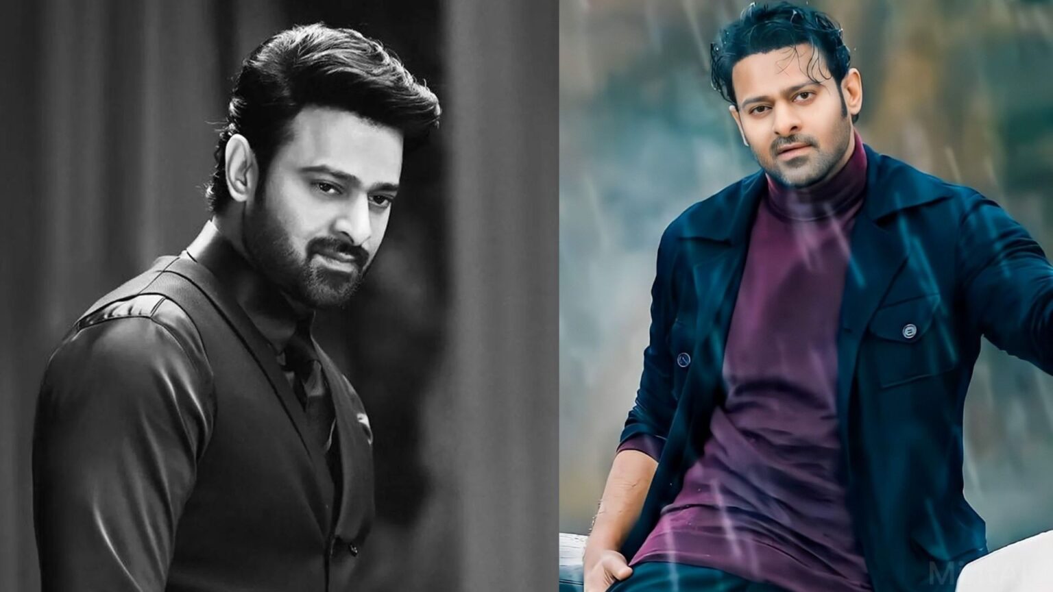 What Is Prabhas Net Worth In 2022? Biography, Career and More