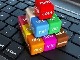 The Rise of Niche Domain Name Extensions: Are They Worth the Investment?