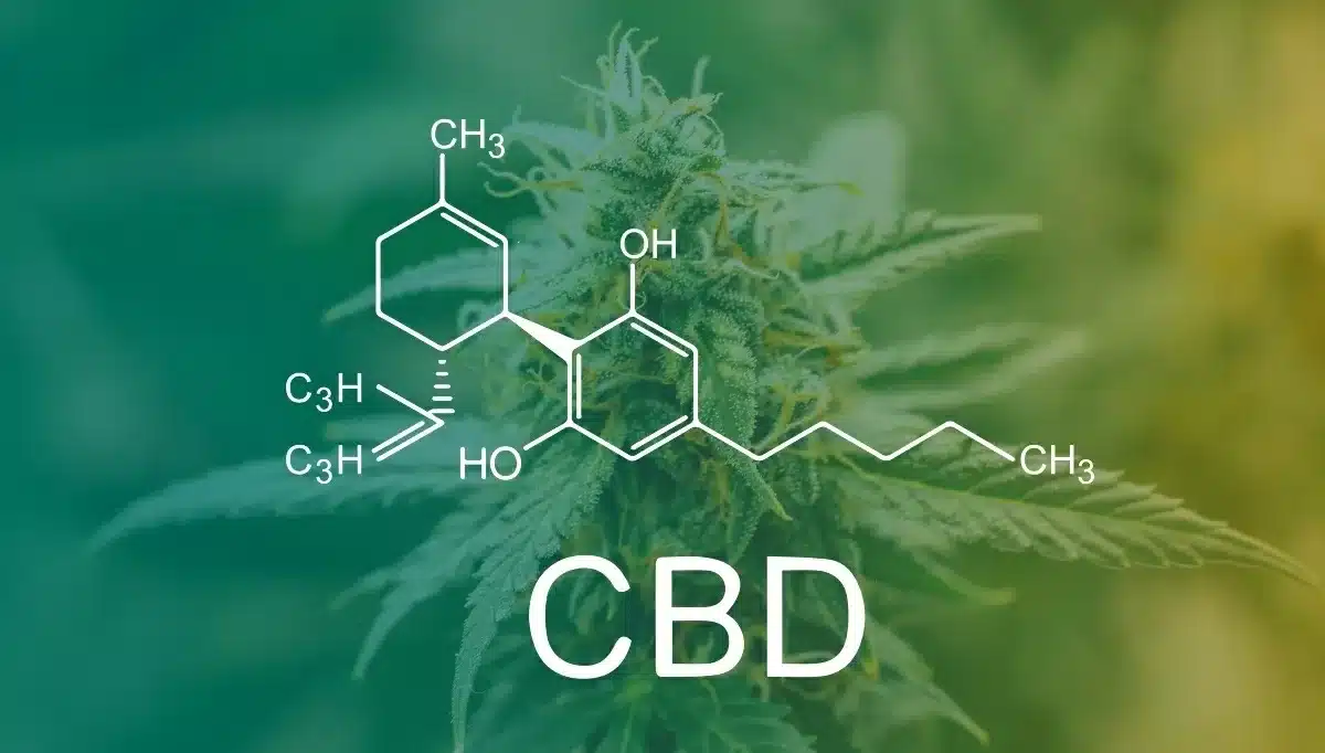 6 Things You Should Know Before Consuming CBD