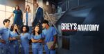 Has Grey's Anatomy Been Renewed for Season 20? Know About the Potential Release Date, Cast, and Updated Plot