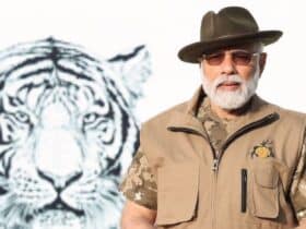 Narendra Modi Net Worth: With No Cars and Rs 46,555 in Bank Account, How Rich is India’s PM?