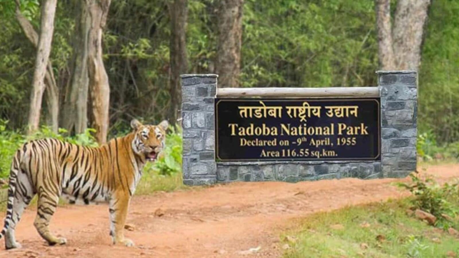 Nearest Airport To Tadoba National Park www.activenoon.com