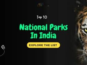Top 10 National Parks In India 2024