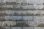 Damp Surveys: How to Begin with Getting It Right with Dampness