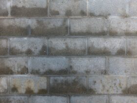 Damp Surveys: How to Begin with Getting It Right with Dampness