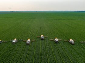 Smart Farming Begins Here: Top Features Every Agriculture ERP Should Have