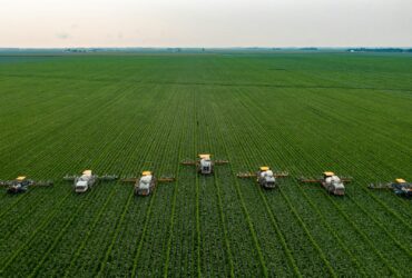 Smart Farming Begins Here: Top Features Every Agriculture ERP Should Have