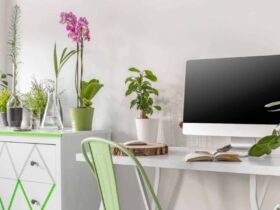 7 Office Plants That Instantly Uplift Your Work Desk
