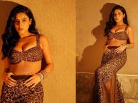 Inspiring Journey of Shehnaaz Gill