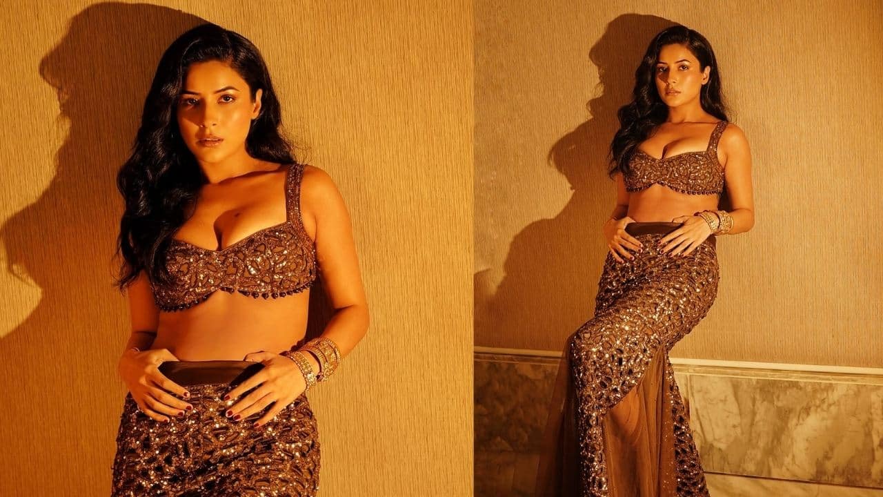 Inspiring Journey of Shehnaaz Gill