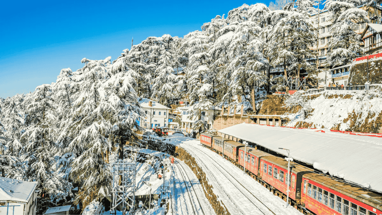 Shimla