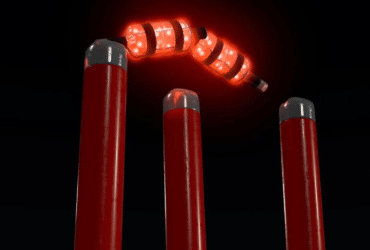 Know About the IPL Stump Price in India