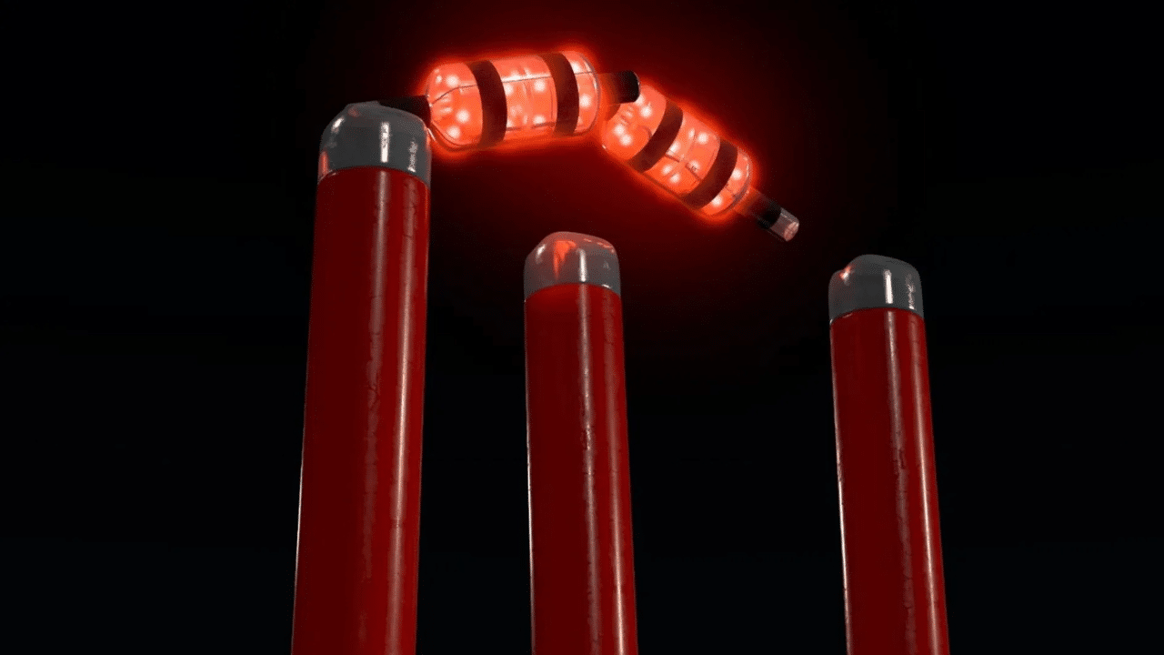 Know About the IPL Stump Price in India