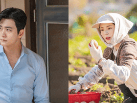 Is The Potato Lab Season 2 Coming? Release Date and Trailer