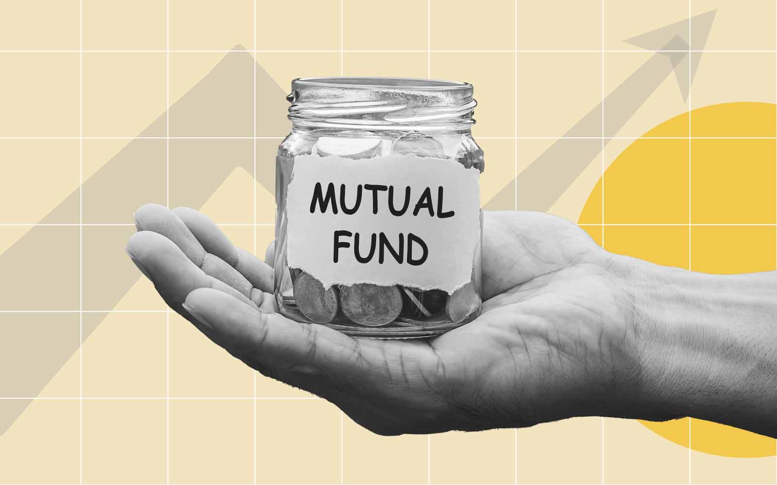 Top Rated Mutual Funds That Every Beginner Should Consider