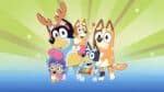 Why Is Bluey So Popular? Reasons For Being A Best Series